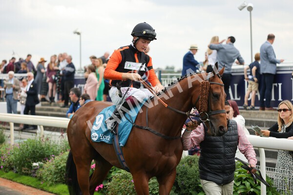yr04092022r2-12 - Race 2 2.20pm John and Judith Marshall Memorial Stakes
