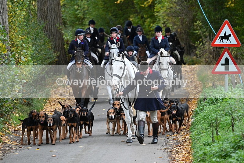 WJ7_7137 - Walk Home..