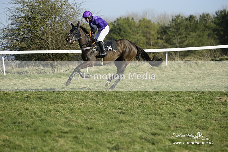 PtP 270222 289 - South & West Wilts Point-to-Point Larkhill 27/02/22