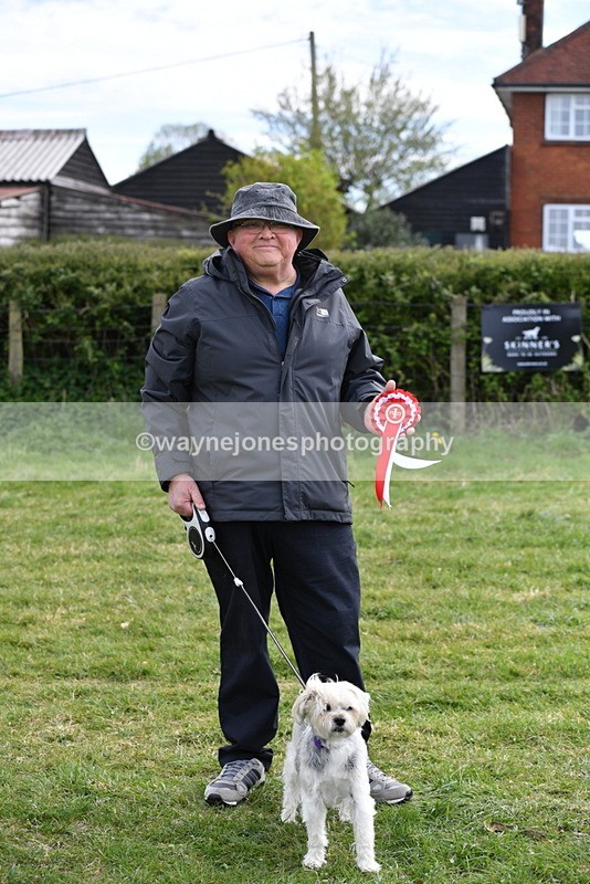 WJ5_0201 - Class 5 Best Veteran / 7 years & over