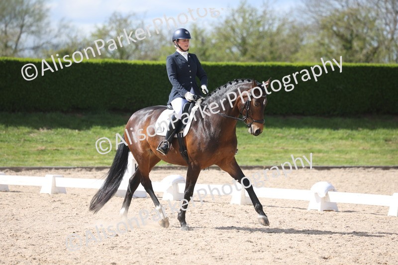 20260405-0723 - Class 8 - Medium 6