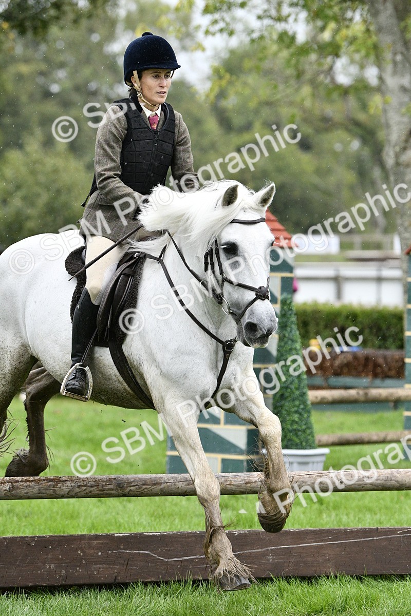 SBM_42280 - S32 - Mountain & Moorland Working Hunter Pony