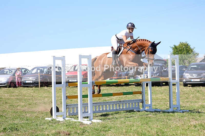 3E7A6399 - Class 13: Senior Newcomers/1.10m open