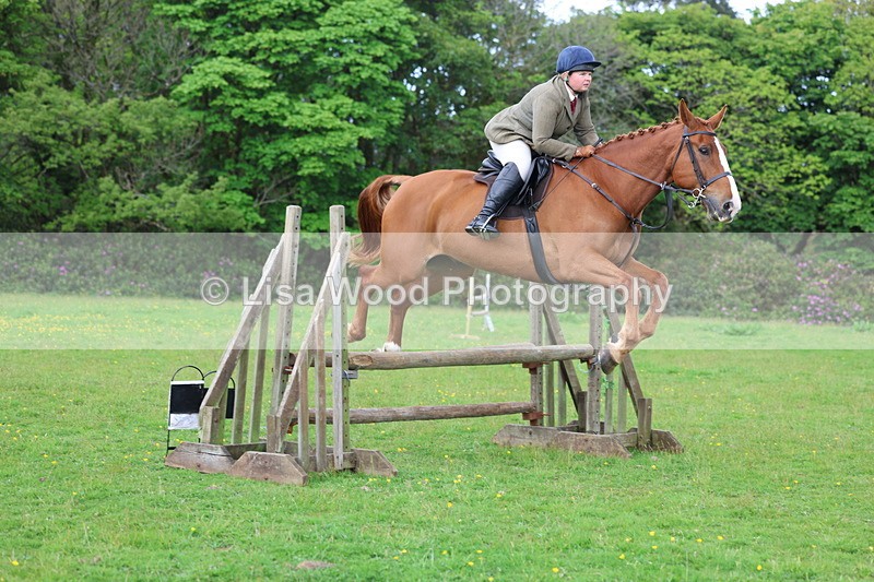 3E7A2527 - Classes 30 and 31: 80cm Working Hunter