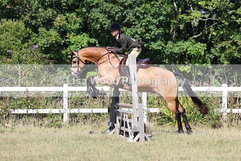 3E7A5819 - Class 5: Working Hunter 90cm