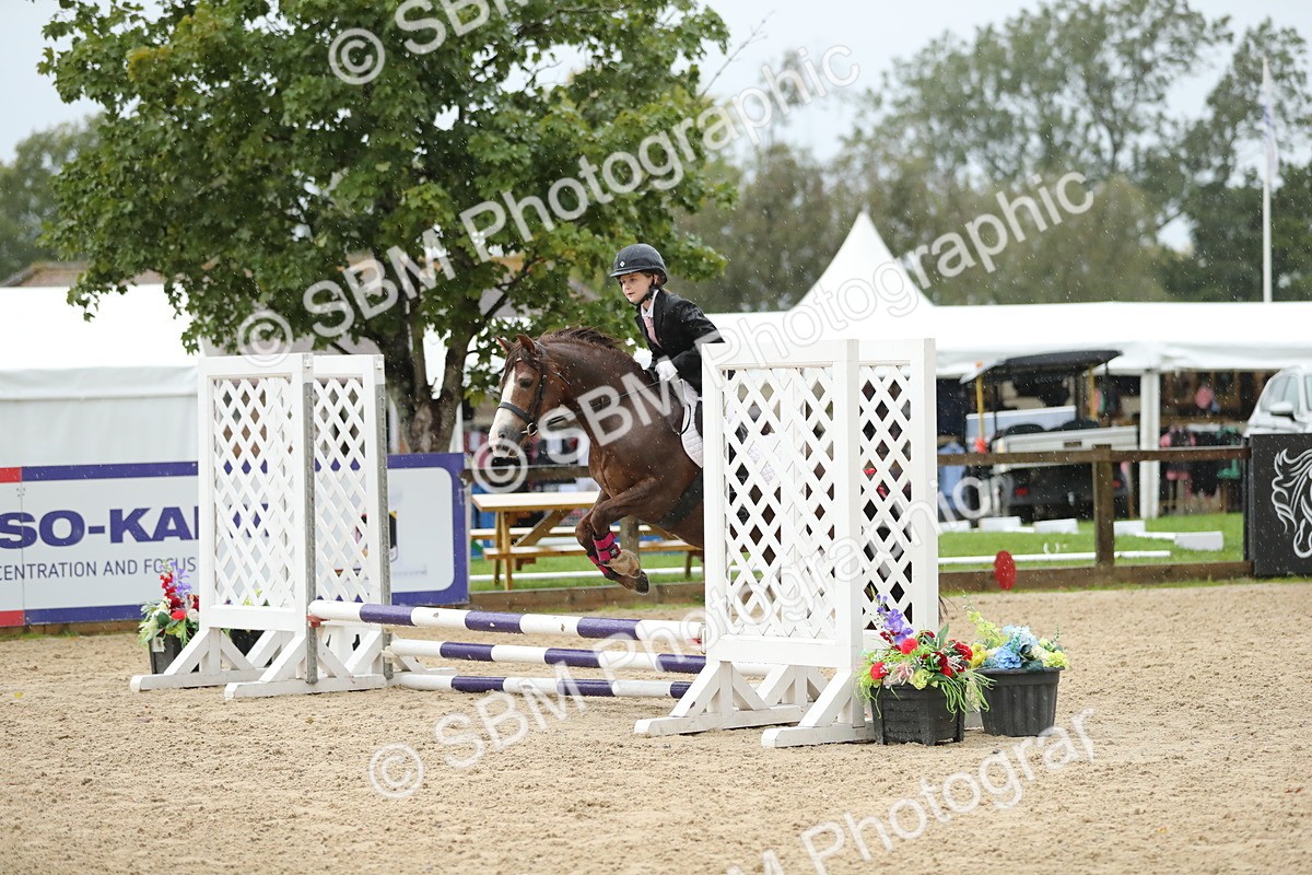 SBM_34371 - J60 Clear Round 50cm