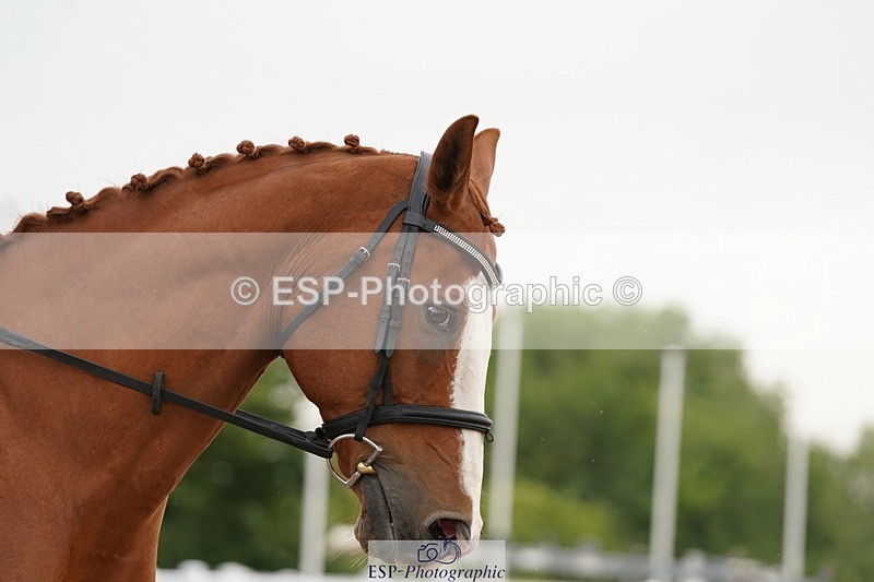 250621-083800-05462 - Quest Cls 1-5, Intro All