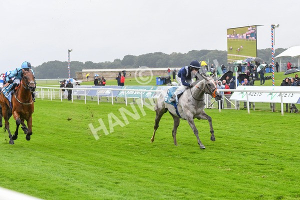 140723-Race 3-Symbology-0279 - Race 3 3.15pm William Hill Keep Your Raceday Positive Irish EBF Fillies' Novice Stakes