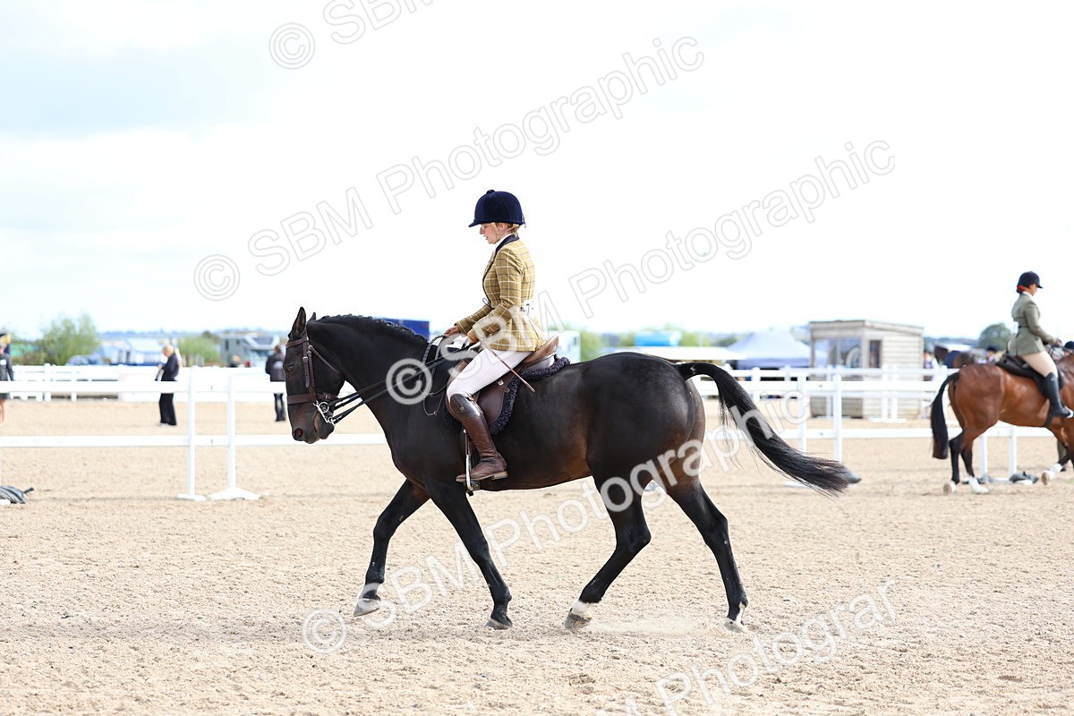 SBM_10054 - Class 304 - Ridden Part Bred Horse Pony