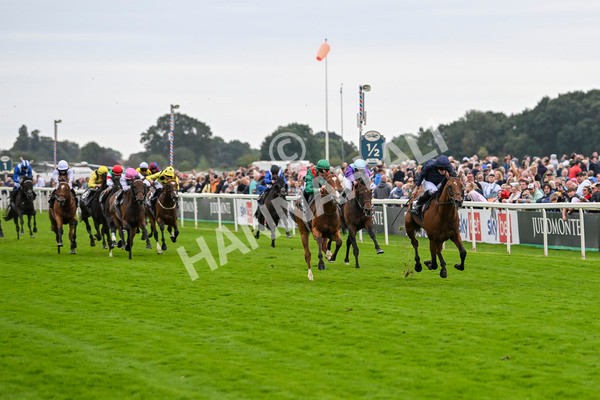 210824-Race 4-City Of Troy-5097 - Race 4 3.35pm Juddmonte International Stakes