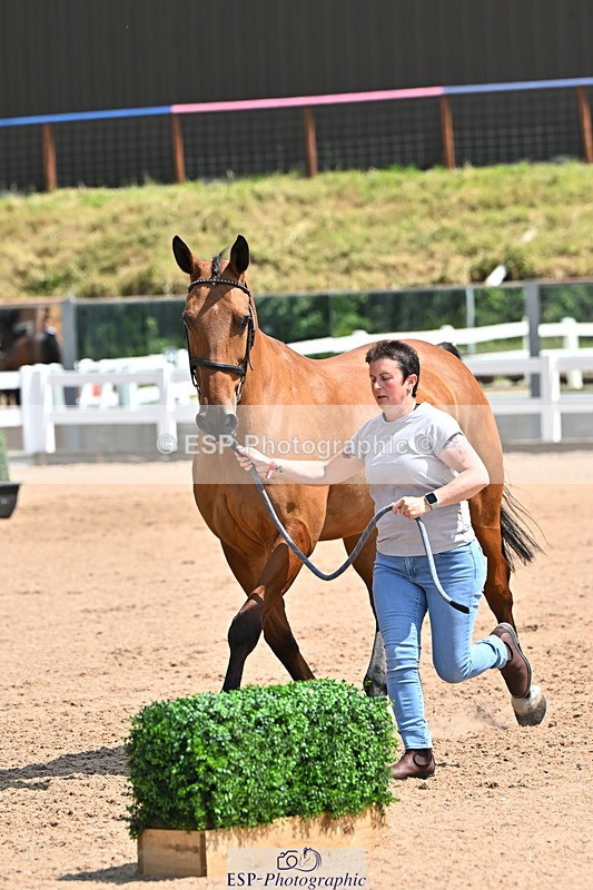 240718A-105300-01426 - Trot Up 12pm to 1pm