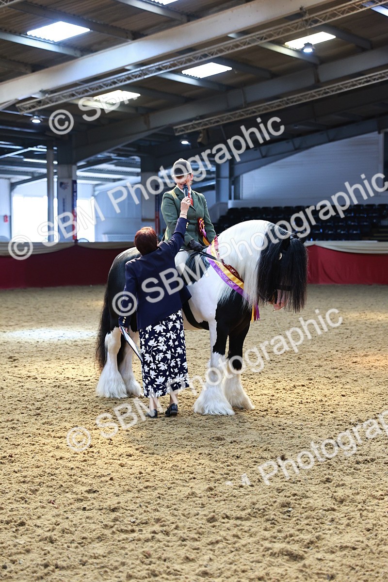 SBM_12787 - HOYS Veteran Qualifier - Ridden Champ
