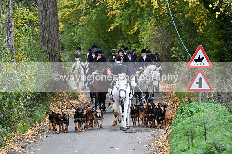 WJ7_7107 - Walk Home..