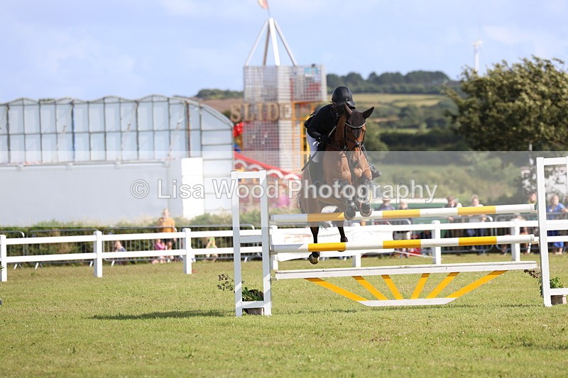 3E7A3582 - Class B: Showjumping Accumulator