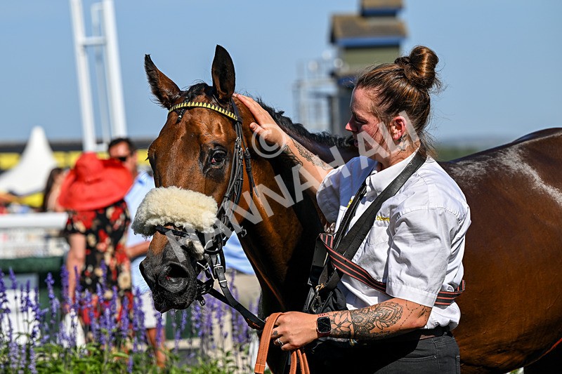 120826-Race 4-Glenfinnan-6643 - Race 4 15.45pm Jill Willows Handicap