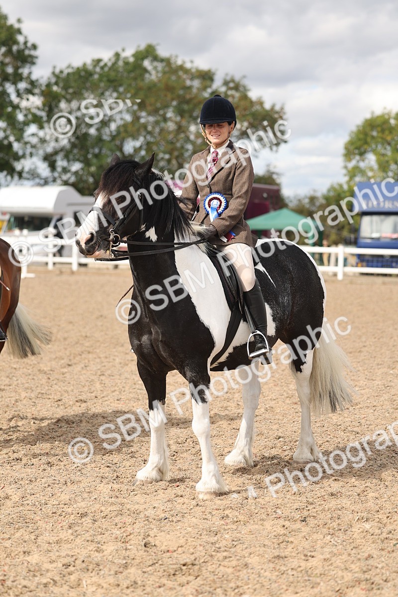 SBM_14688 - Class 307 - Ridden Coloured Pony