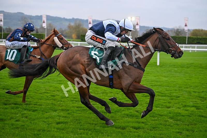 151124-Race 6-Balhambar-8924 - Race 6