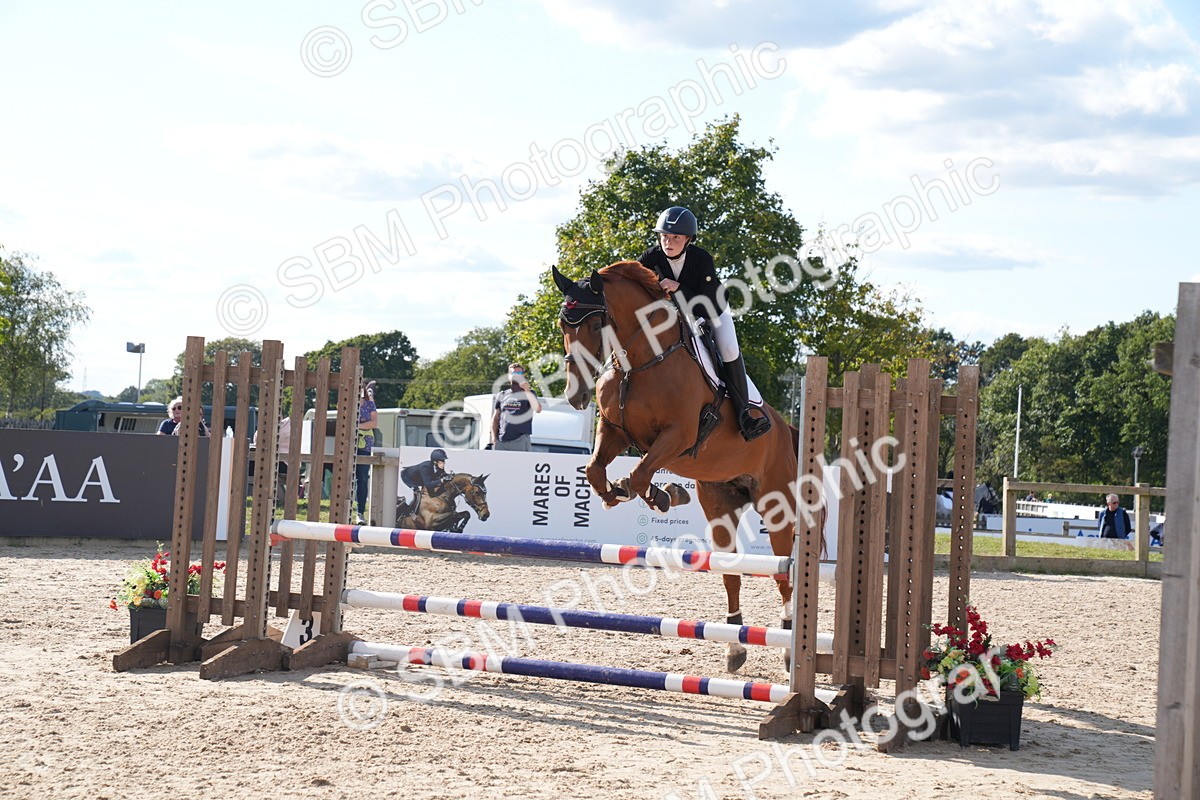 SBM_26079 - J61 - Clear Round 75cm & 85cm