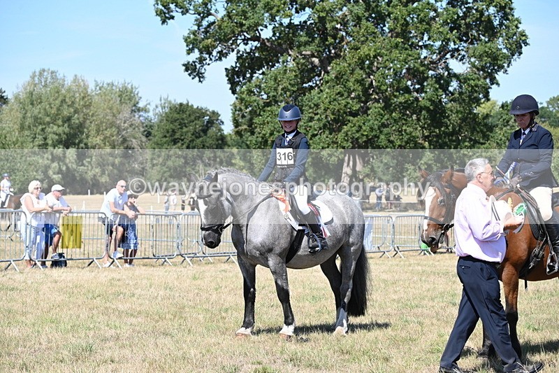 WJ6_8460 - Class 37a Best Loan Pony Ridden