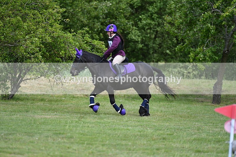 WJ5_3218 - Class 4 60cm