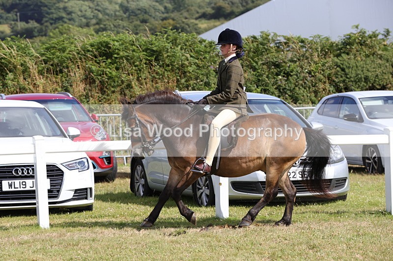 1X9A5598 - Class 39: NPS Dartmoor, Exmoor, Shetland