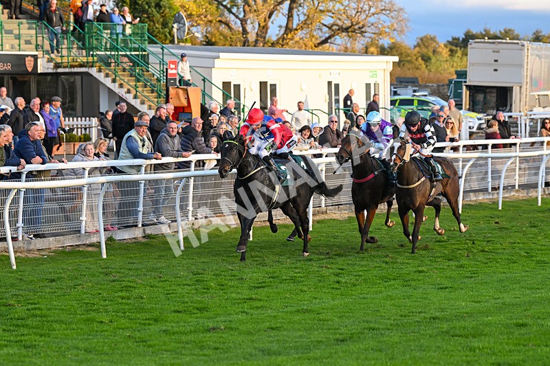 291024-Race 7-Crocodile Power-6465 - Race 7