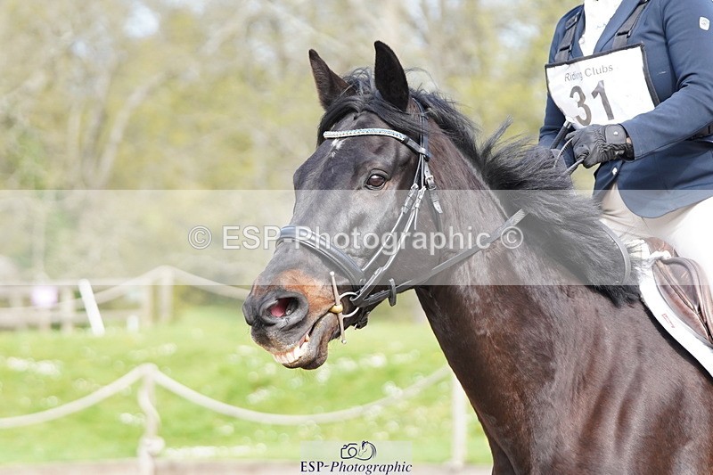 250420A-102548-00354 - Cls 02 70cm