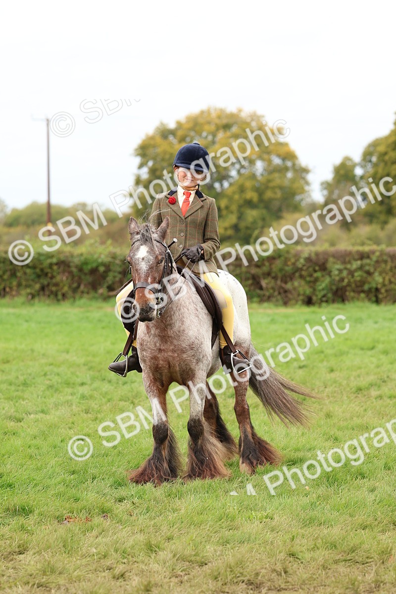SBM_64469 - S58 - Coloured Pony Ridden