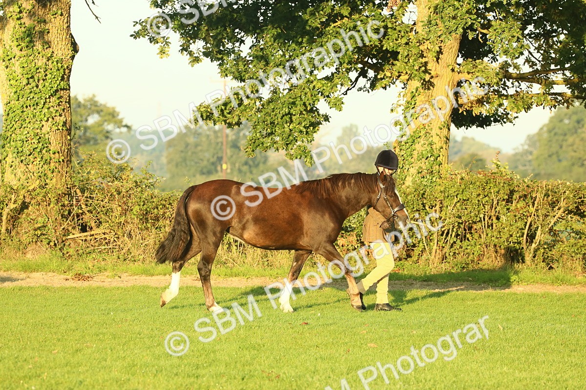SBM_56497 - S36 - Starters Best Turnout