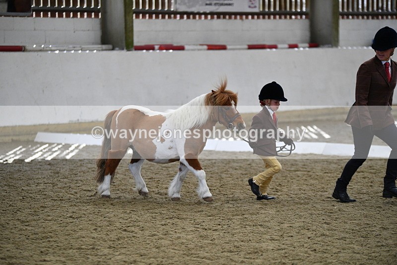 WJ5_4904 - Class 7 In hand coloured / odd coloured