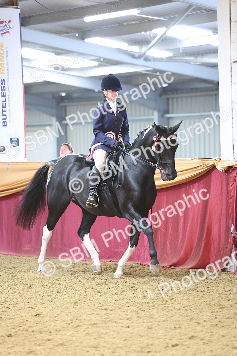 SBM_24709 - Class 906 - Supreme Final - Ridden Pre Vet