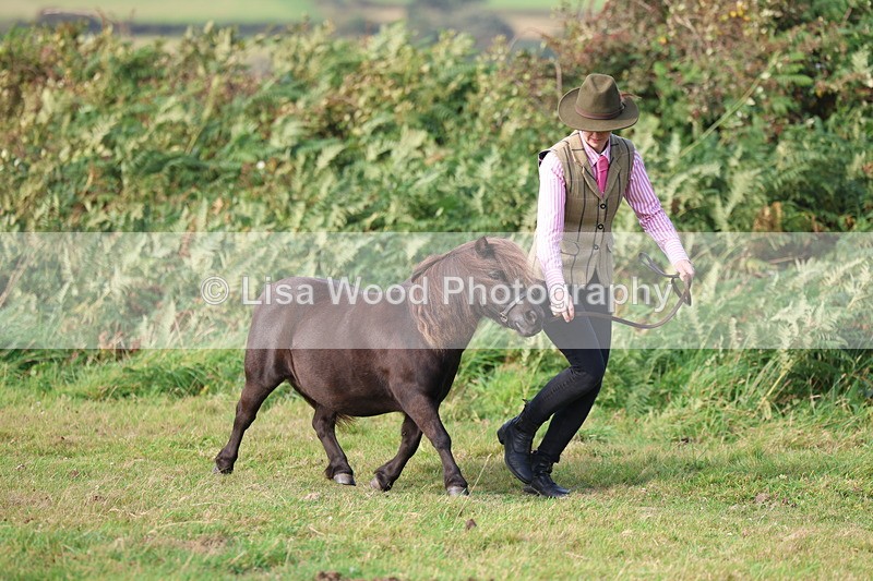 3E7A3161 - Class 12: M & M Small Breeds