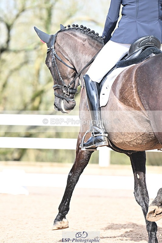 240218A-115733-06930 - 204-Elder.Klatzko-Dynasty.Hit