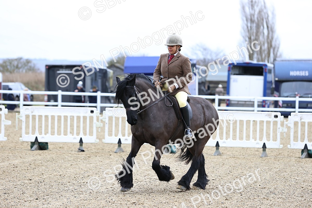 SBM_006986 - Class 29 - 30 - M&M Pure Novice Small-Large Breeds