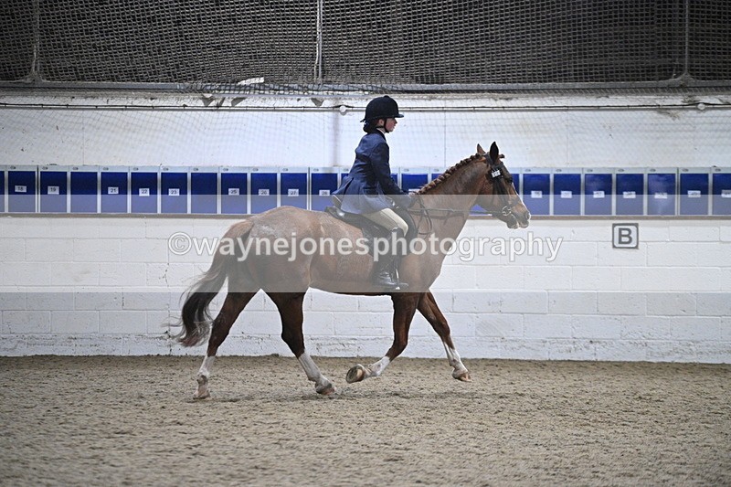 WJ7_4125 - Class 17 Ridden Cob