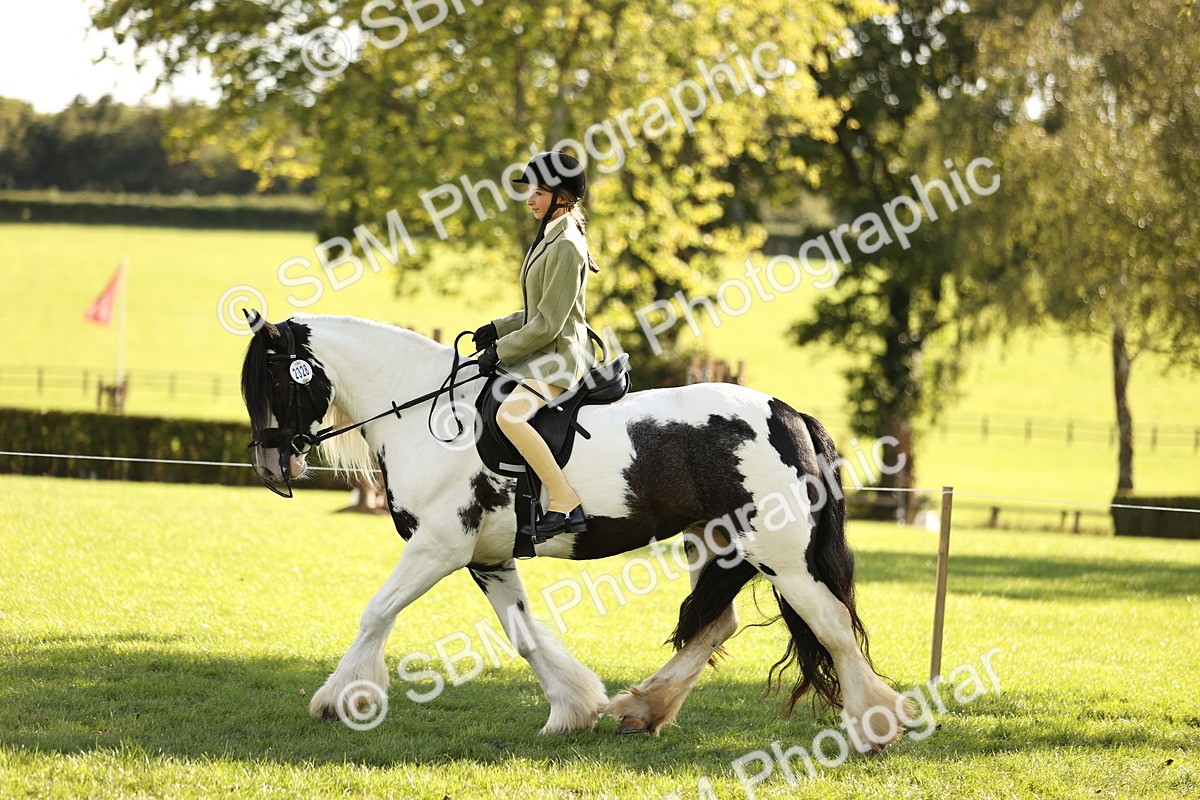 SBM_26439 - S6 - Novice & Newcomers Ridden Horse