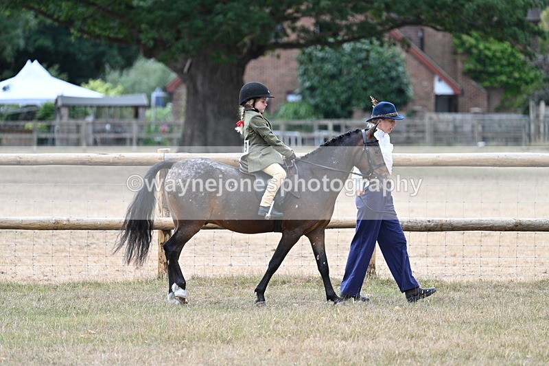 WJ7_0378 - Class 6 Ridden Mountain and Moorland