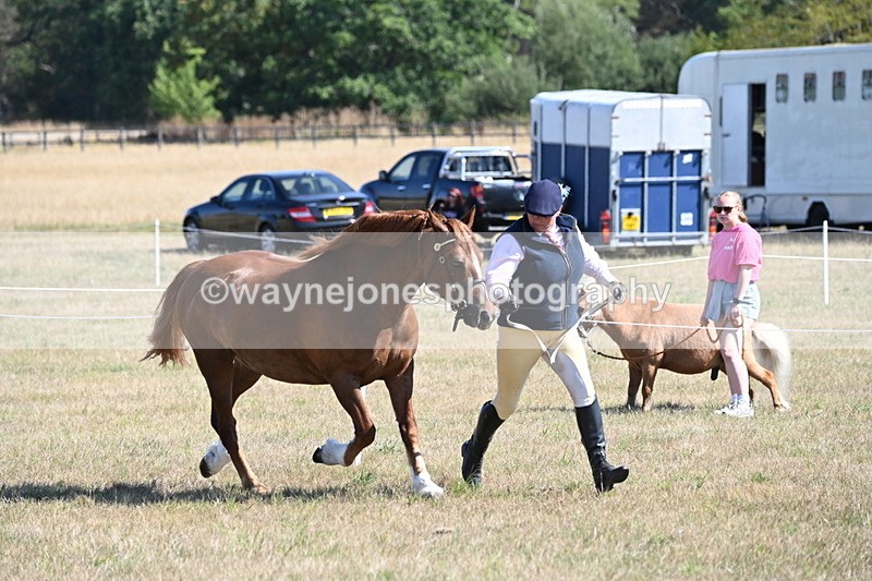 WJ6_4568 - Class 17 Mountain & Moorland
