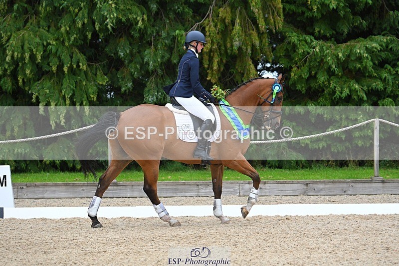 230813-163028-08341 - Medium Bronze Presentations