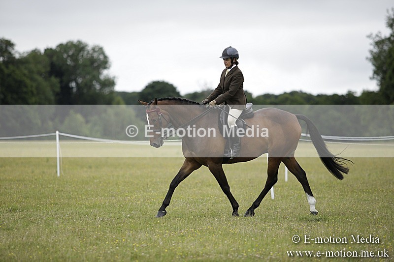 BVR160717-1014 - Ring 1 BVRC Show 16/07/17