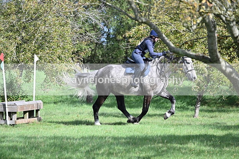 WJ7_8729 - Time 11:10 to 11:53