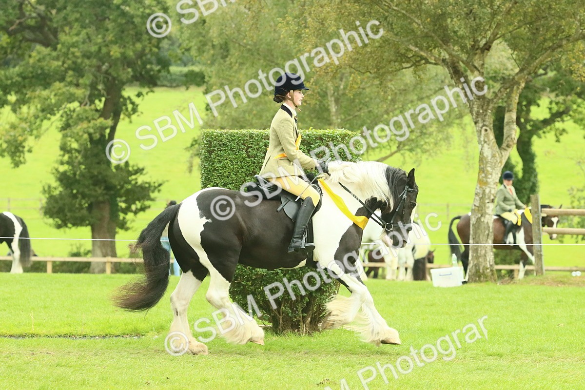 SBM_75024 - Ridden Pony Supreme Championship