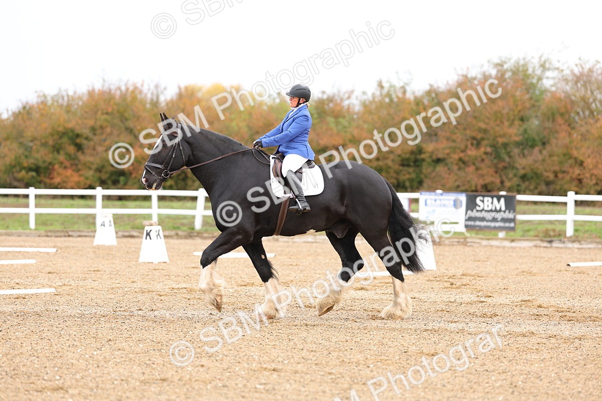 SBM_000090 - Intro 2