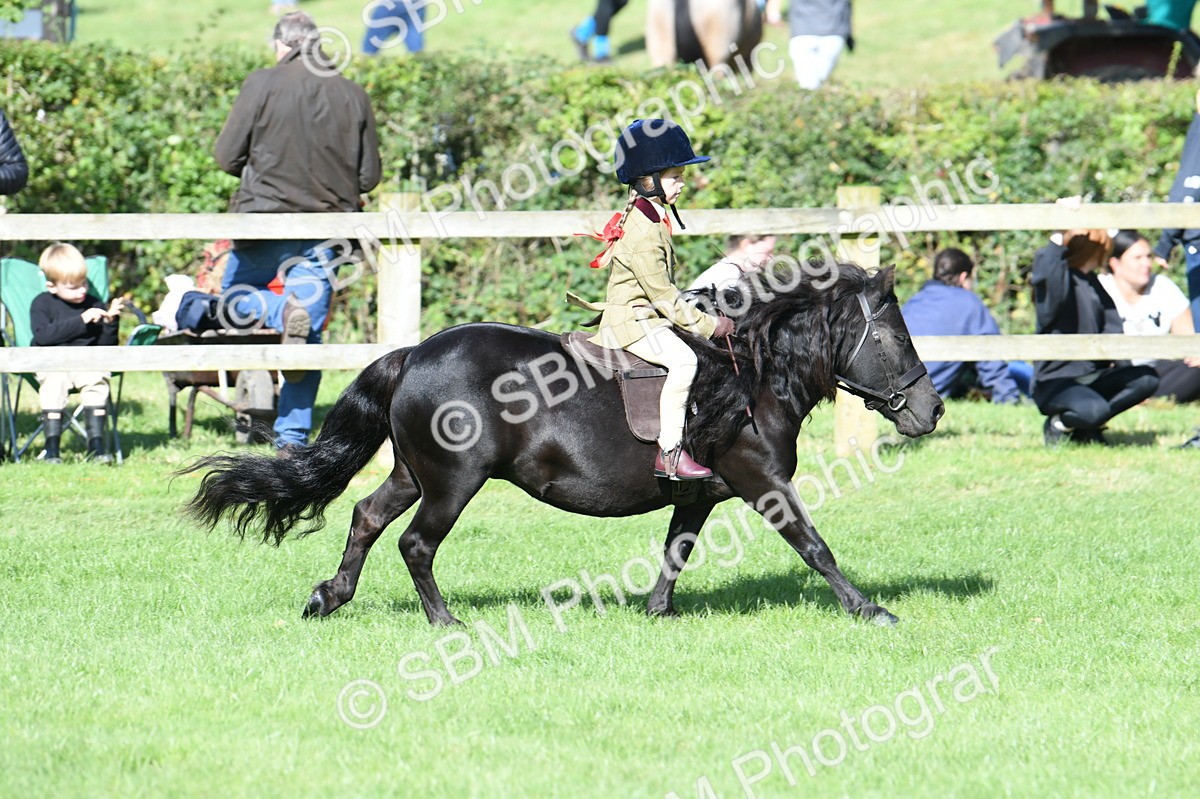 SBM_50322 - S21 - Novice & Newcomers 1st Ridden Pony