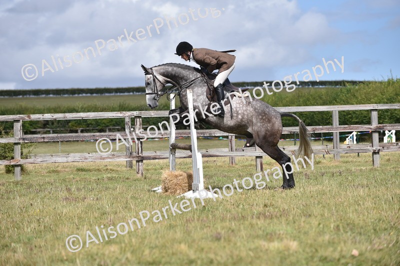 20250831-4059 - Class 13 - Working Hunter Horse or Pony