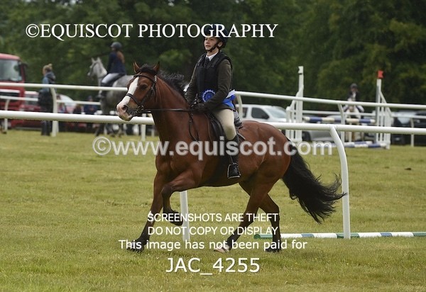 JAC_4255 - WORKING HUNTER CHAMPIONSHIP