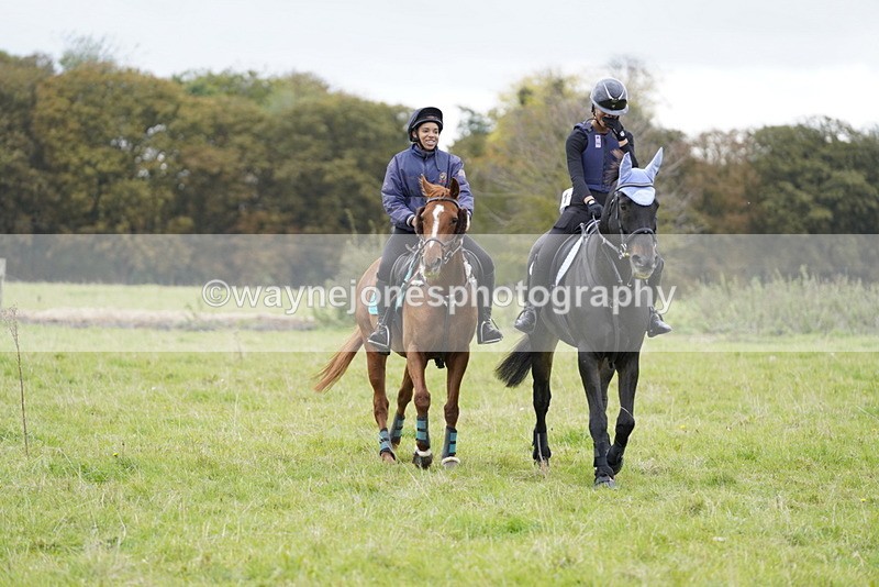 _DSC8103 - Time at Photographer 11:57 to 12:36