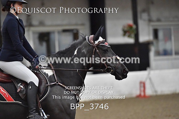 BPP_3746 - FRI CLASS 21 BR NOVICE/90CM