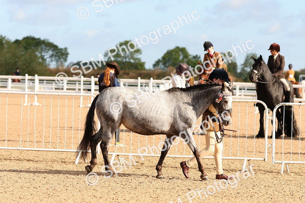 SBM_09185 - Class 204 - Young Handler