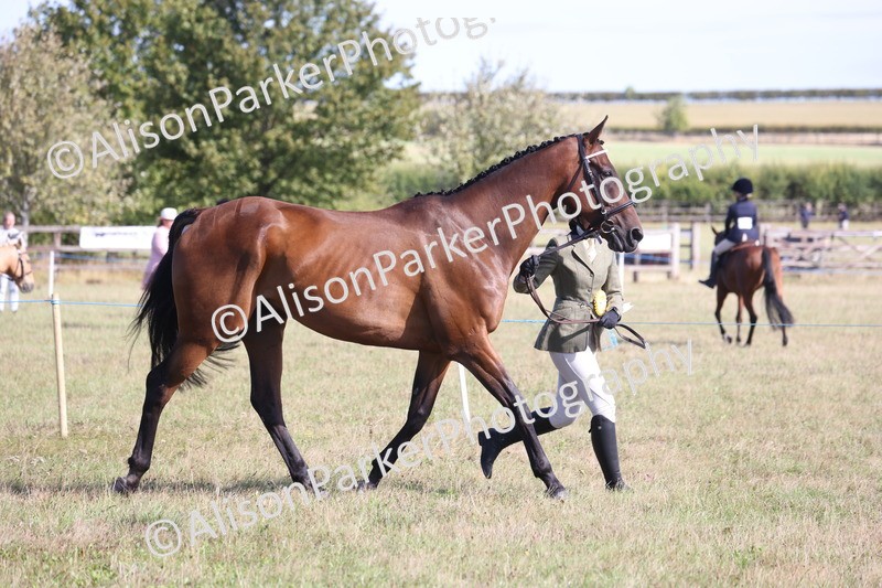 20260906-0743 - Class 22 - Ex Racehorse